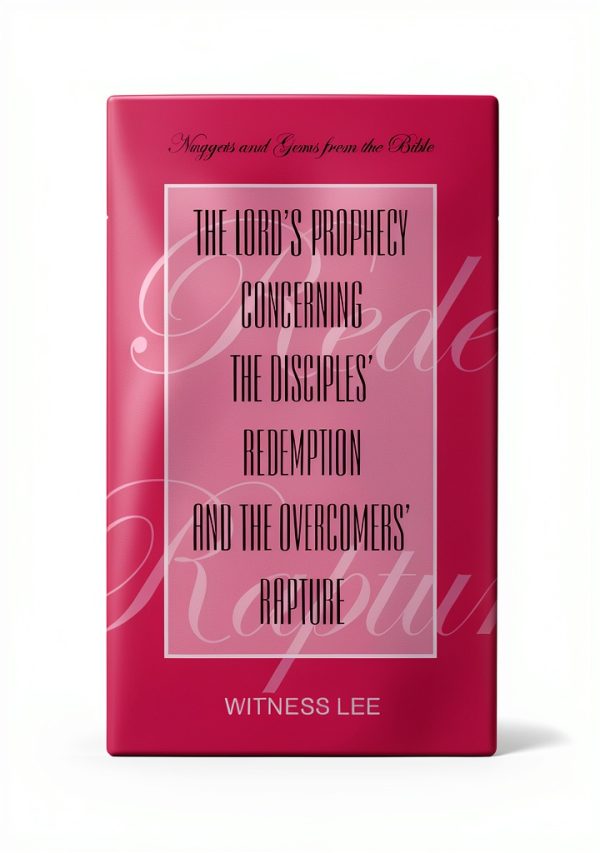Living Stream Ministry Bible Nuggets Gems Christian-0
